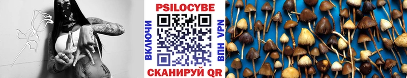 Купить где  Устюжна  Псилоцибиновые грибы GOLDEN TEACHER 